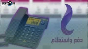 العد التنازلي لتسديد فاتورة التليفون الأرضي نوفمبر 2025 قبل قطع الخدمة والغرامة